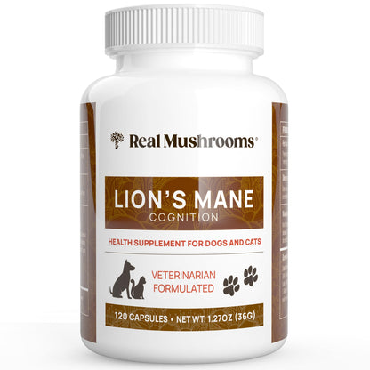 Real Mushrooms Organic Lion’s Mane Mushroom Capsules – 120 Count