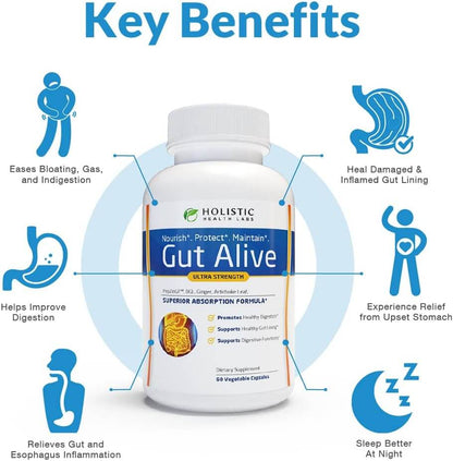 Gut Alive Supplement Key Benefits for Digestive Health with Superior Absorption Formula, 60 Capsules by Holistic Health Labs
